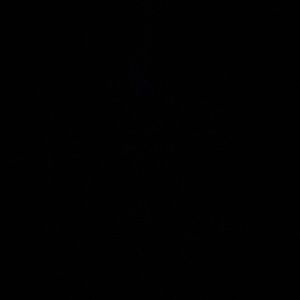 Meet your Posher, Pascaline